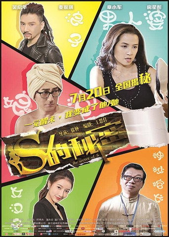S的秘密海报