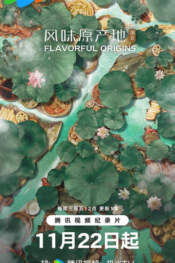 风味原产地 湖北海报