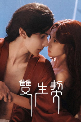 双生契海报