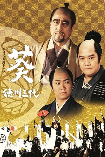 葵德川三代海报