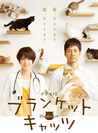 毛毯猫海报