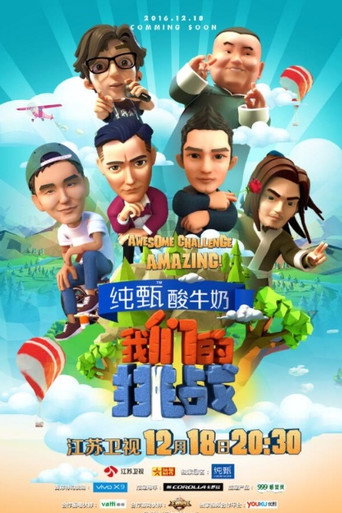 我们的挑战海报