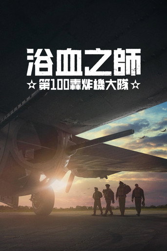 浴血之师：第100轰炸机大队海报