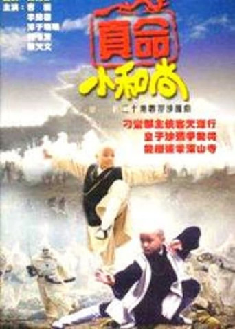 真命小和尚 真命小和尚之无字天书海报