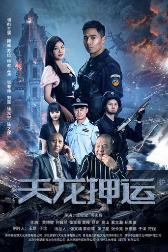 天龙押运海报