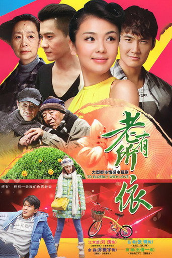 老有所依海报