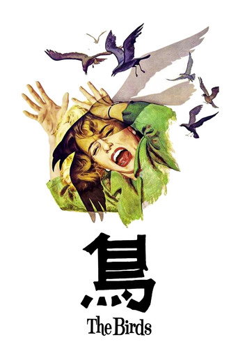 群鸟海报